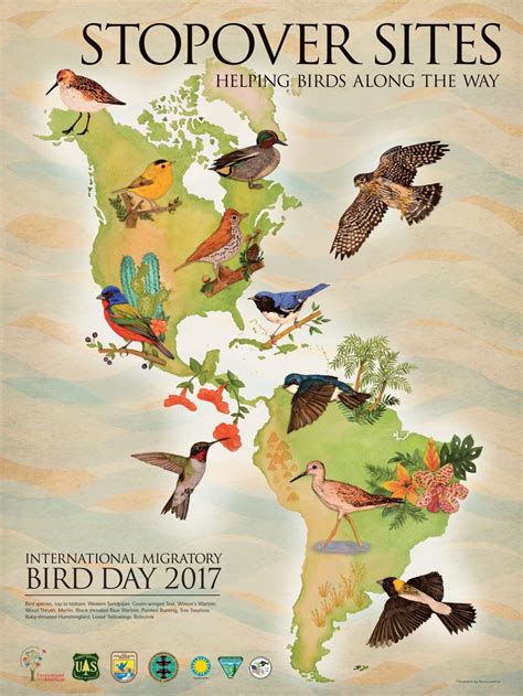 Efta Eng Bird Migration Poster 18x24 2017 R10 In 2023 Migratory Birds