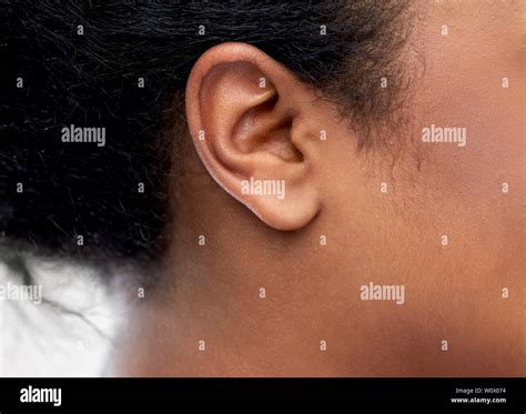 Side Profile Ear Lobe Black Hi Res Stock Photography And Images Alamy