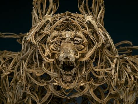 Meet The Artist Making Giant Sculptures Out Of Animal Bones Bone