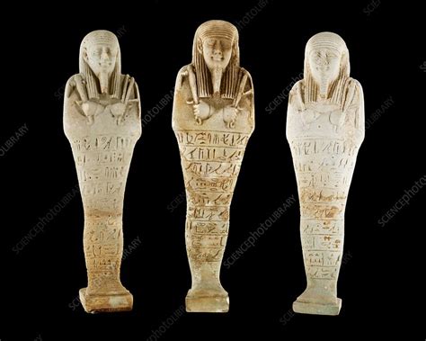 Ancient Egyptian Funerary Figurines Stock Image C025 8496 Science Photo Library