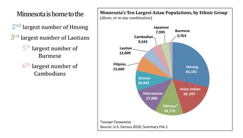 community-health-overview-vietnamese-americans-twin-cities-daily-planet
