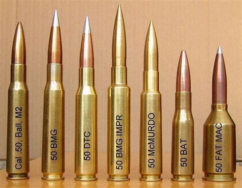 Never Knew There Were So Many 50 Cal Rounds
