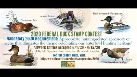 2020 Duck Stamp Contest Info With The Rule Change Finalized The 2020