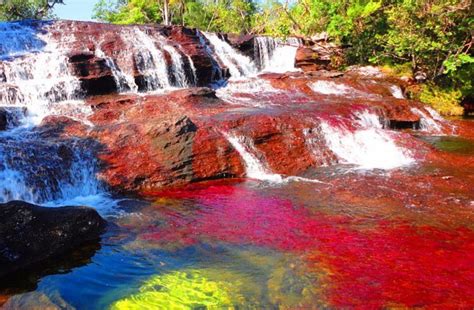 Caño Cristales River Is Like A Liquid Rainbow