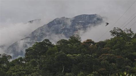 Mount Kinabalu Nudist Eleanor Hawkins Due Home Bbc News