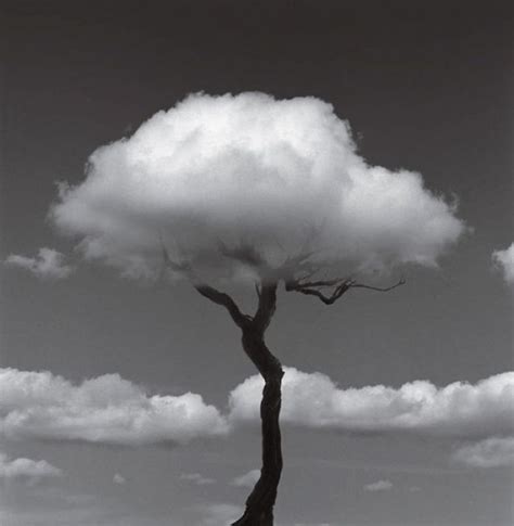 15 Mind Bending Photos By Chema Madoz That Will Make You Look Twice