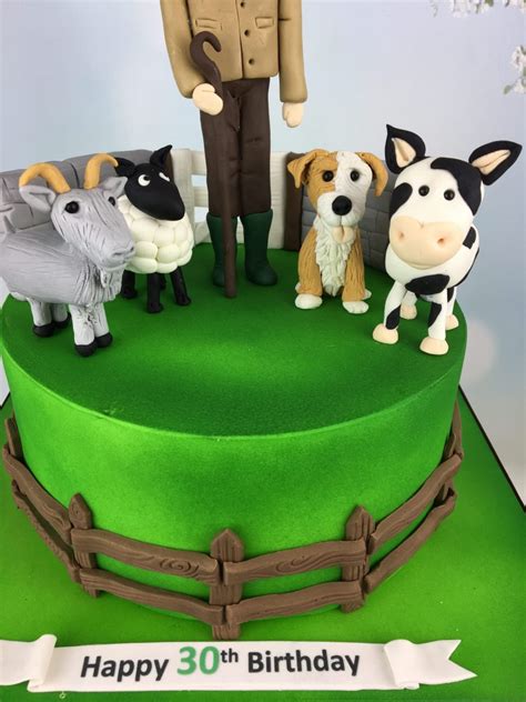 Farmer And His Animals 30th Birthday Cake Mels Amazing Cakes