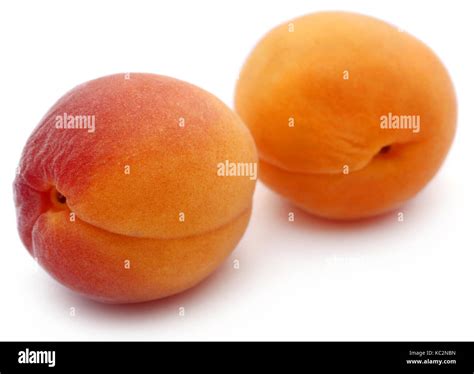 Fresh Apricots Over White Background Stock Photo Alamy