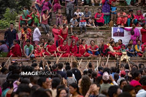 Observing Gai Jatra Festival Buy Images Of Nepal Stock Photography