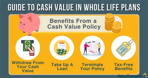 A Guide To Cash Value In Sg Whole Life Insurance Plans
