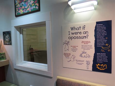 Work at children's discovery house? Childrens Zoo - Discovery House Opossum Exhibit - ZooChat
