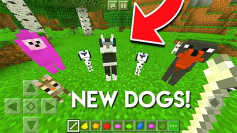 How To Spawn New Dogs In Minecraft Tutorial Bedrock Edition