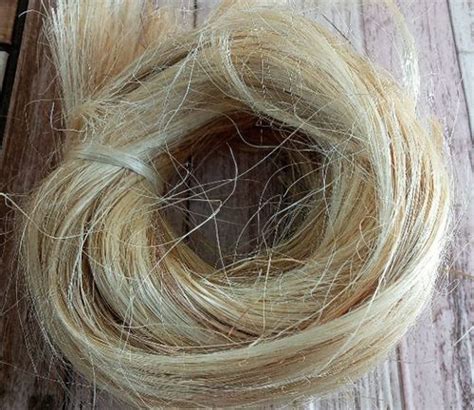 Abaca Fiber Properties Manufacturing Process And Uses Textile Learner