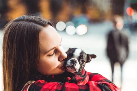 Dog Moms Take Pet Parenting Seriously New Survey Shows The Dog
