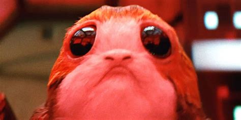 Heres The Real Reason Those Adorable Porgs Exist In Star Wars The
