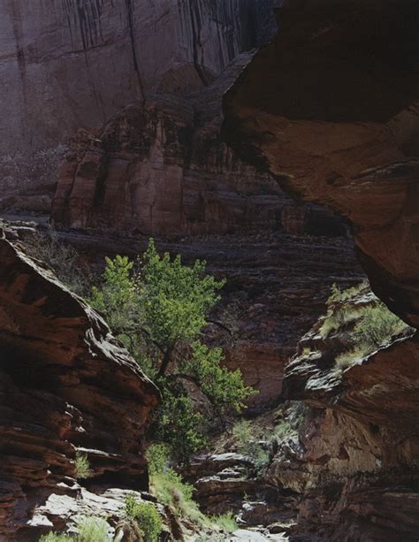 Eliot porter was an american photographer known for his richly colored images of the natural world. Andrew Smith Gallery - Eliot Porter
