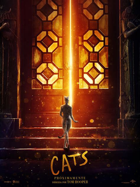 Una tribu de gatos debe decidir como cada año quién de los gatos ascenderá a heaviside layer y así poder renacer y volver en una nueva vida. Cartel de Cats - Poster 5 - SensaCine.com
