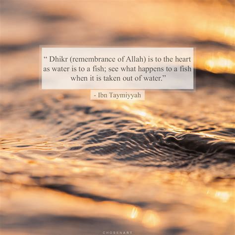 Nader Dawah — Dhikr Remembrance Of Allah Is To The Heart As