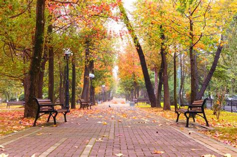 The Significance Of An Outdoor Park Bench Leisure And Me