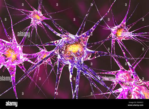 3d Illustration Of Neuronal Cells Stock Photo Alamy