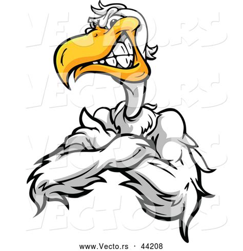 Vector Of A Tough Cartoon Pelican Mascot Posing With Crossed And A