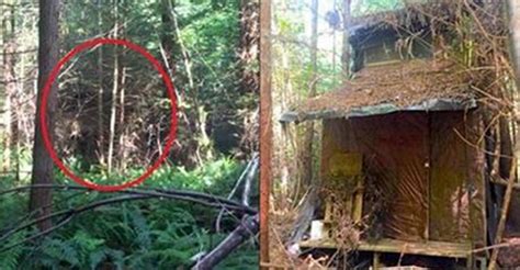 We did not find results for: Ranger Spots Hidden Cabin In Woods, Finds Mystery Inside ...
