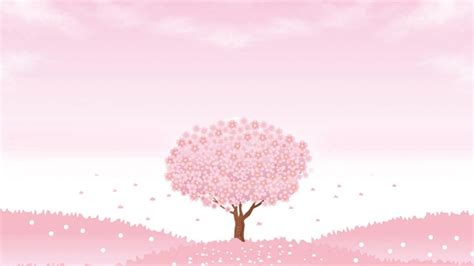 Cute Zoom Backgrounds Pink Spring Flower Pink Petals Tulip Hd