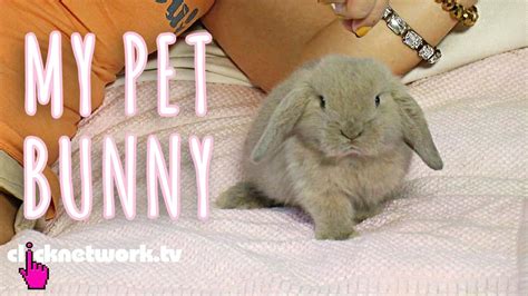 Max (louis c.k.) thanks gidget (jenny slate) for saving his life, and snowball (kevin hart) gets adopted by a girl. My Pet Bunny - Xiaxue's Guide To Life: EP111 - YouTube