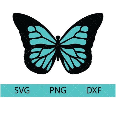 Layered Butterfly Svg Butterfly Clipart Cricut Svg Layered Etsy