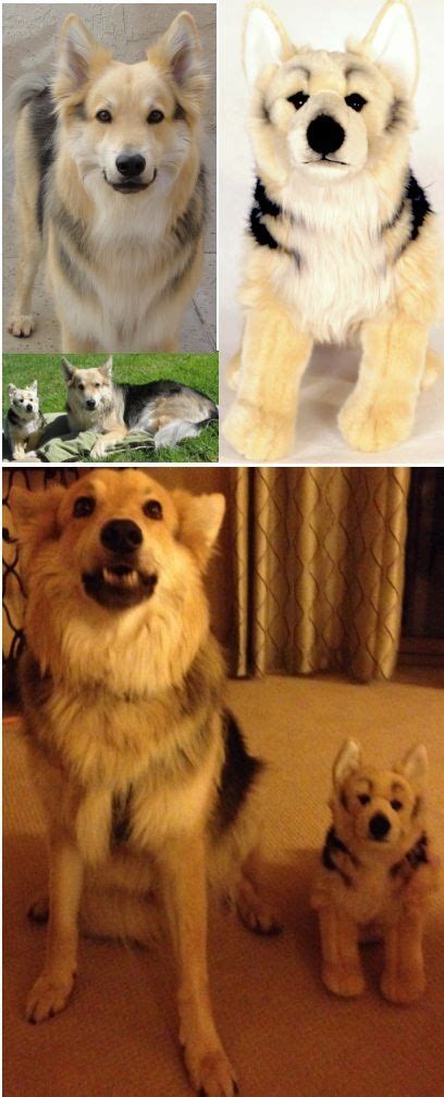 Handcrafted from the highest quality faux fur, our custom plush cuddle clones this product feeds 20 shelter pets. Custom stuffed animals made to look just like your pet! We ...