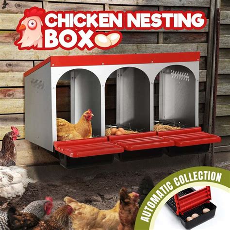 Buy 3 Hole Chicken Nesting Box Hen Roll Away Laying Boxes Chook Nest