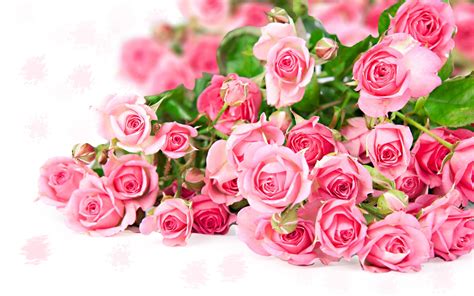 Fonds Décran Rose Rose Bouquet De Fleurs La Couleur Romantique
