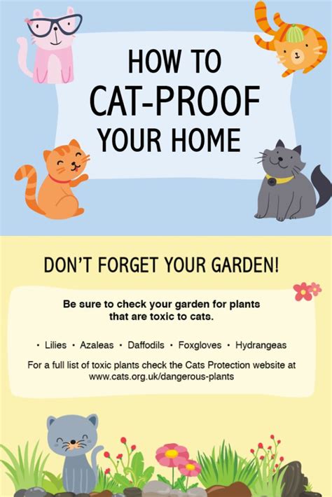 Check Out Our Tips On How You Can Create A Feline Friendly Home Cat