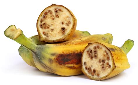 Les Origines Préhistoriques Du Bananier Extra Ordinaire Banane