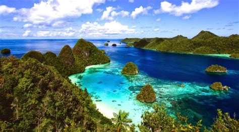 Hari laut sedunia ini, telah diperingati setiap tanggal 8 juni, sejak pengajuan pertama pada tahun 1992 dari pemerintah kanada pada sebuah event earth summit di rio de janeiro (brazil). Rayakan Hari Laut Sedunia, Yuk...Bantu Jaga Laut Indonesia ...