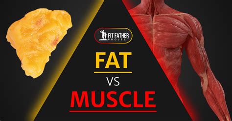 Fat Vs Muscle Understanding Body Composition For Men Over 40