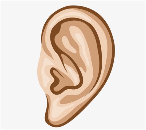 The Best Free Ear Vector Images Download From 99 Free Vectors Of Ear