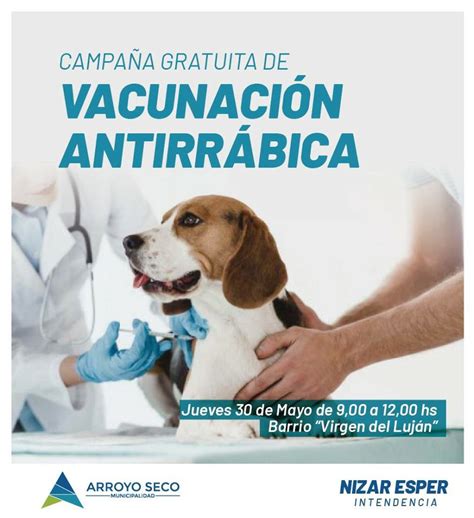 Campaña gratuita de vacunación antirrábica para perros y gatos Municipalidad de Arroyo Seco