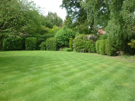 This Exquisite Lawn Was Heavily Moss Ridden After Aerating And Helping