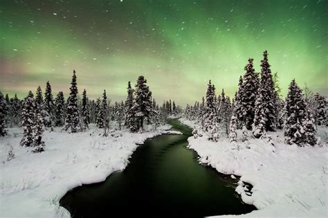 5 Otherworldly Experiences To Have In Swedish Lapland