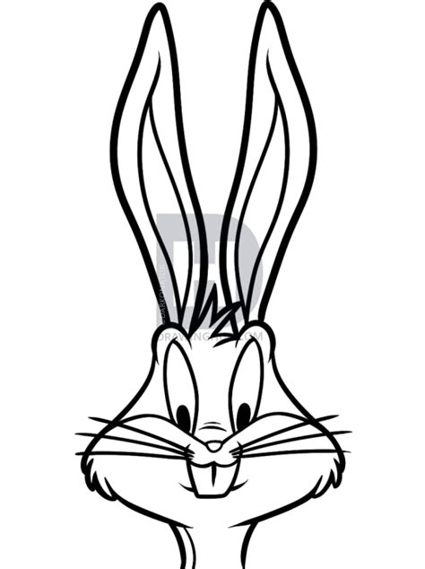 Affordable and search from millions of royalty free images, photos and vectors. Bunny Face Drawing | Free download on ClipArtMag