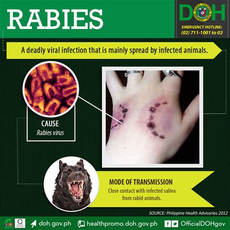 Philippines March Is Rabies Awareness Month Outbreak News Today
