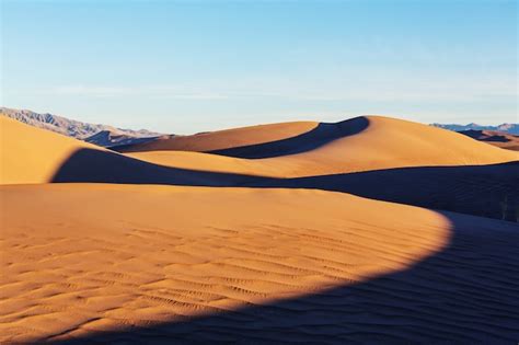 Dunas De Arena En El Desierto Del Sahara Foto Premium