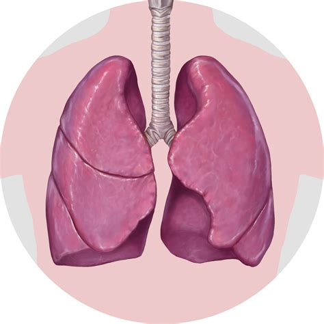 Manage Idiopathic Pulmonary Fibrosis Ipf Lungsandyou