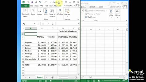 The If Function In Excel 2013 Advanced Excel Concepts Youtube