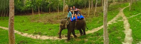 Nepal Wildlife Tour Packages Wildlife Travel Trips Nepal Tourism