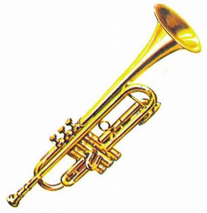 Instruments Musical Names Trumpet Different Facts Instrument