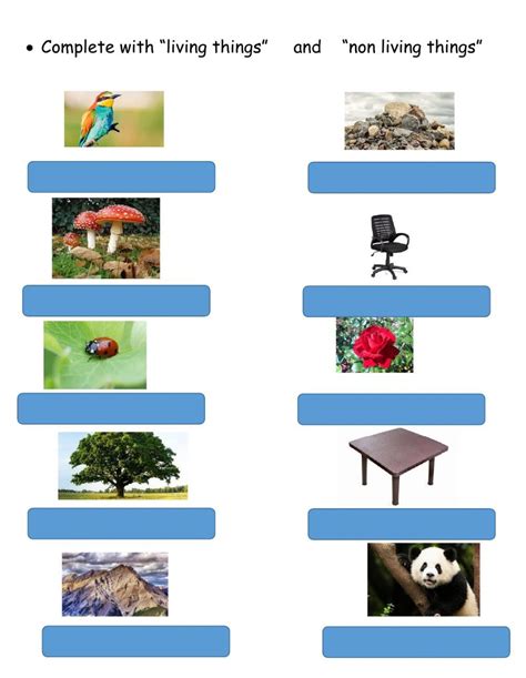 Living Things And Non Living Things Interactive Worksheet Science