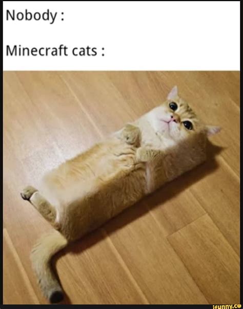 Nobody Minecraft Cats Ifunny