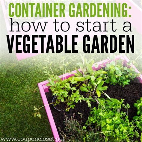 Container Gardening How To Start A Vegetable Garden